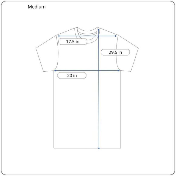 H.E.R. Band Tee Gray Graphic T-Shirt Men’s Size M - Picture 5 of 5